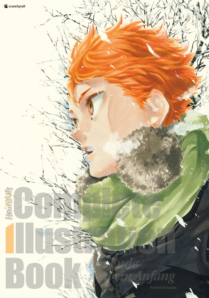 HAIKYU!! COMPLETE ILLUSTRATION BOOK – EIN ENDE UND EIN ANFANG