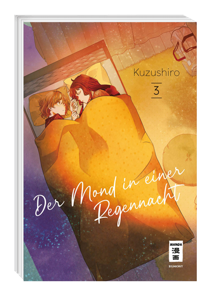 Der Mond in einer Regennacht