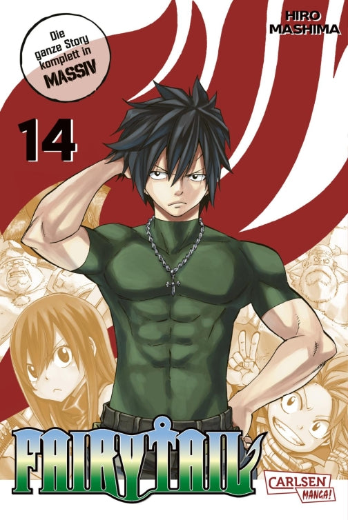 Fairy Tail Massiv
