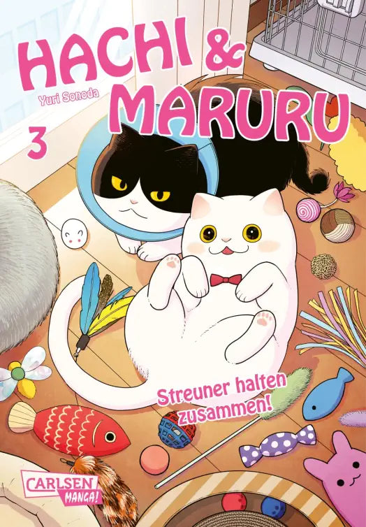 Hachi & Maruru – Streuner halten zusammen!