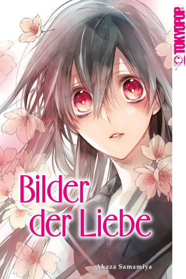 Bilder der Liebe (Einzelband) - Rune Online