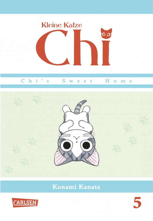 Kleine Katze Chi