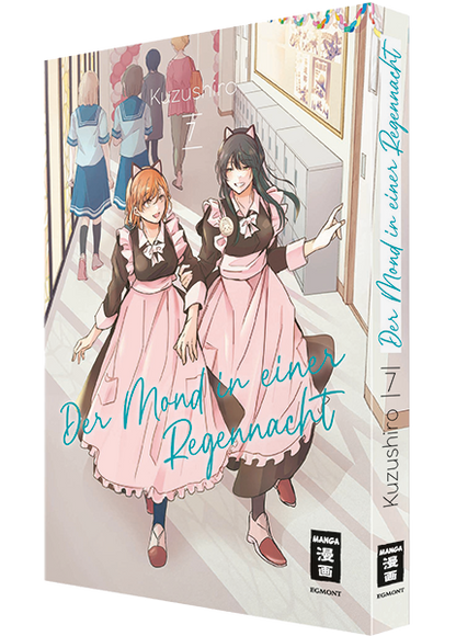 Der Mond in einer Regennacht