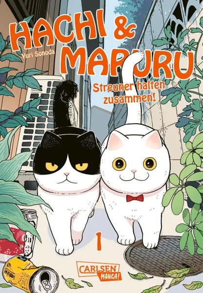 Hachi & Maruru – Streuner halten zusammen!