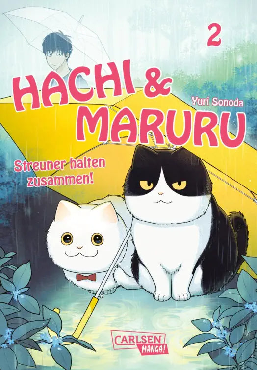 Hachi & Maruru – Streuner halten zusammen!
