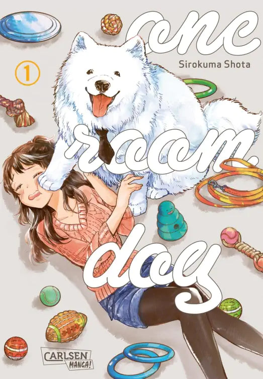 One Room Dog