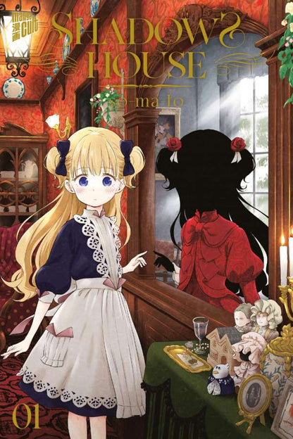 SHADOWS HOUSE