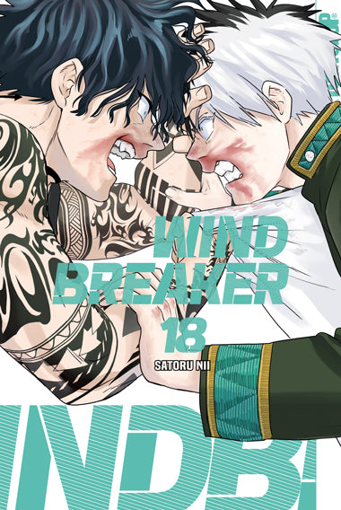 Wind Breaker
