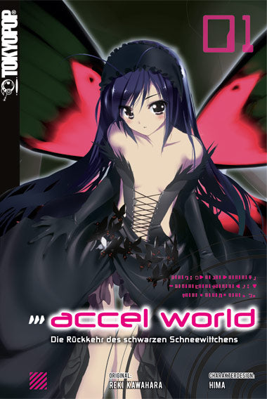 Accel World Light Novel - Rune Online