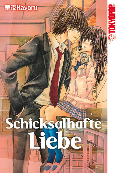 Schicksalshafte Liebe (Einzelband)
