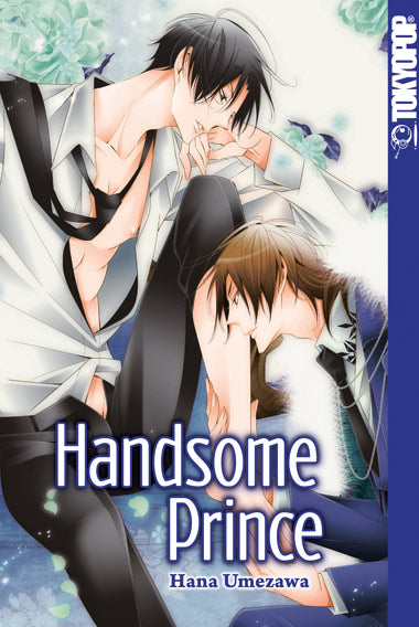 Handsome Prince (Einzelband)