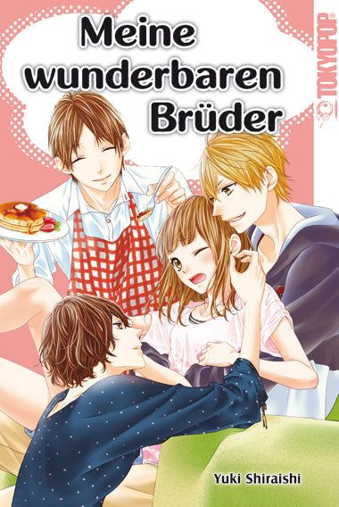 Meine wunderbaren Brüder (Einzelband)