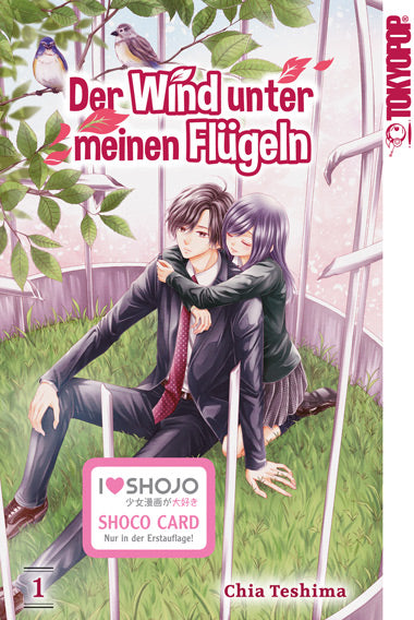 Der Wind unter meinen Flügeln