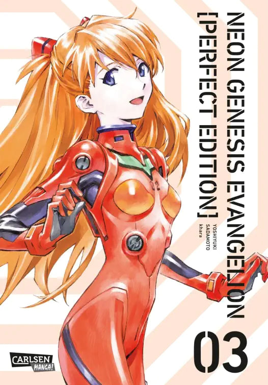 Neon Genesis Evangelion - Perfect Edition